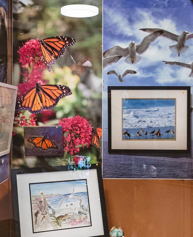 Donate to Central Coast Art Association