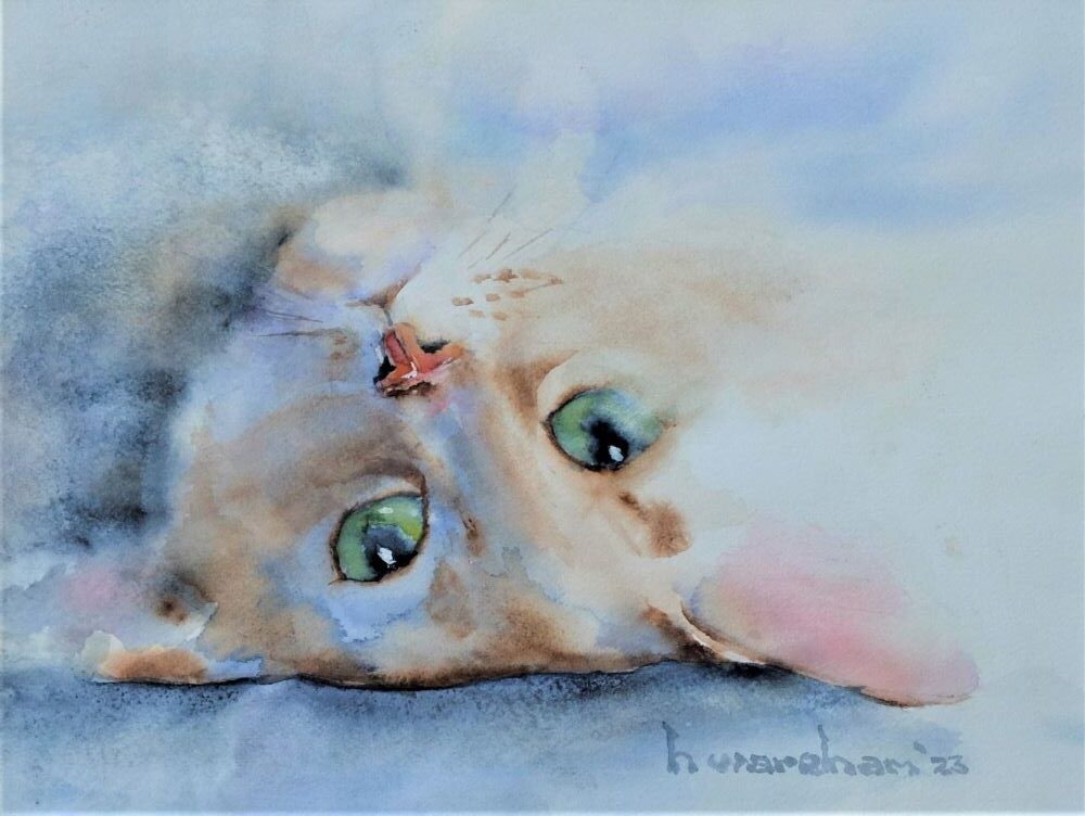 Harry Wareham-Flop Cat