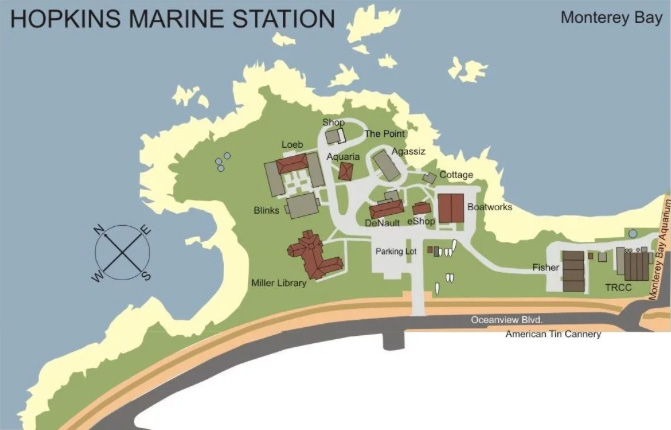 Hopkins Marine Station