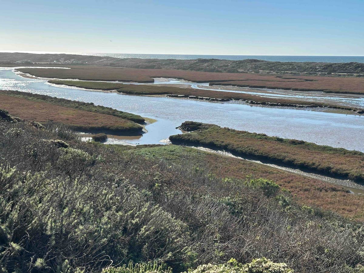 Paint-in Moss Landing Marine Laboratories Estuary