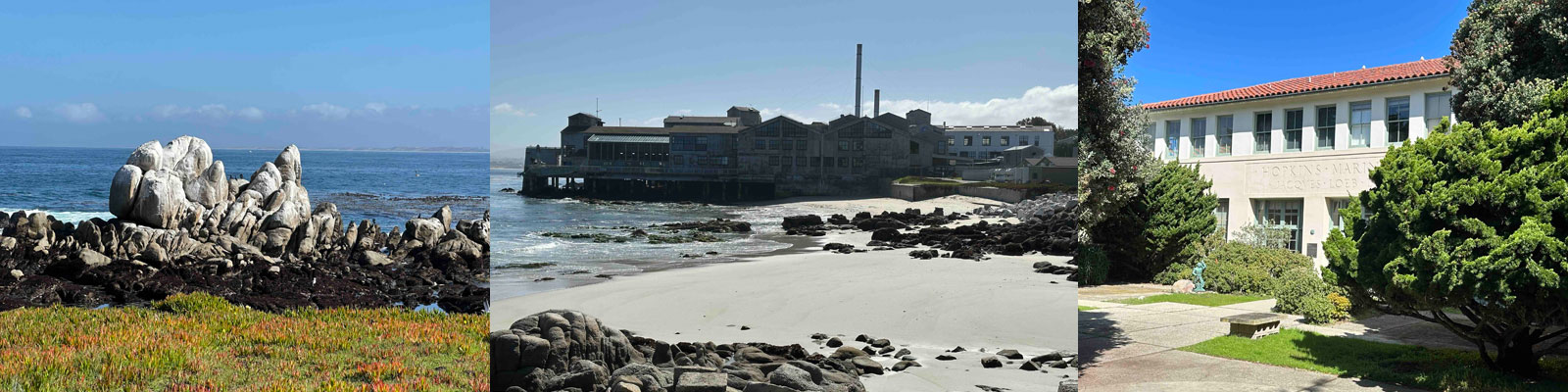 Hopkins Marine Station Photos