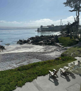 Hopkins Marine Station Painting Group