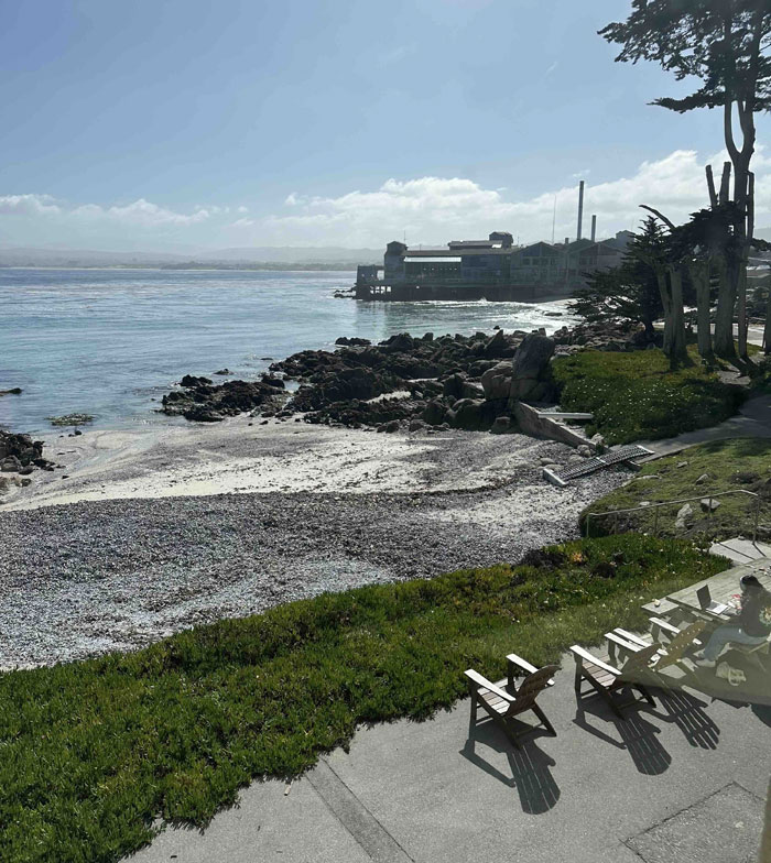 Hopkins Marine Station Painting Group