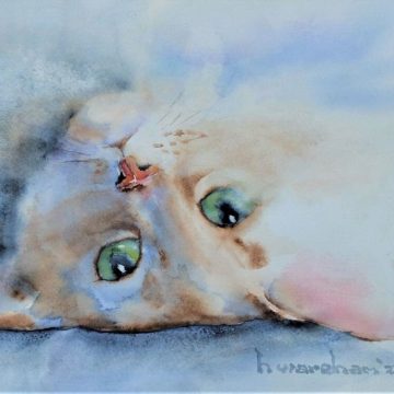 Harry Wareham-Flop Cat